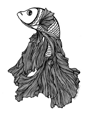 斗鱼米娜跳舞,斗鱼美女舞蹈