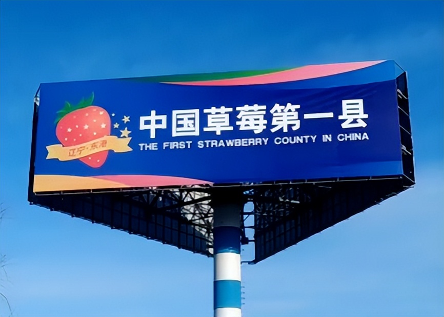 东港草莓,东港草莓新品质