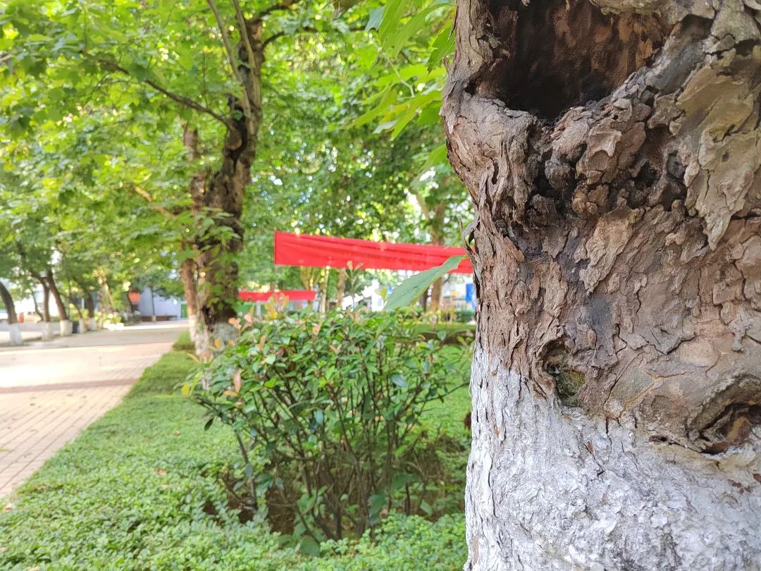 贵州一知名大学新校区真的来了!贵阳贵安这一手,下的什么棋?