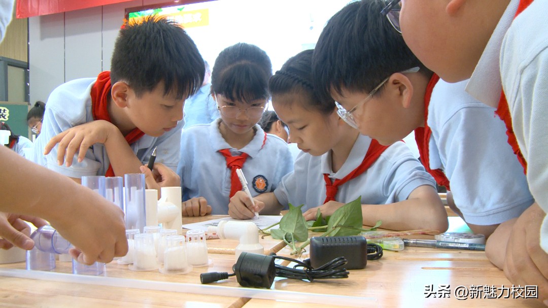 劳动润“鑫”“鑫”动生花——鑫园小学举行劳动教育专场活动