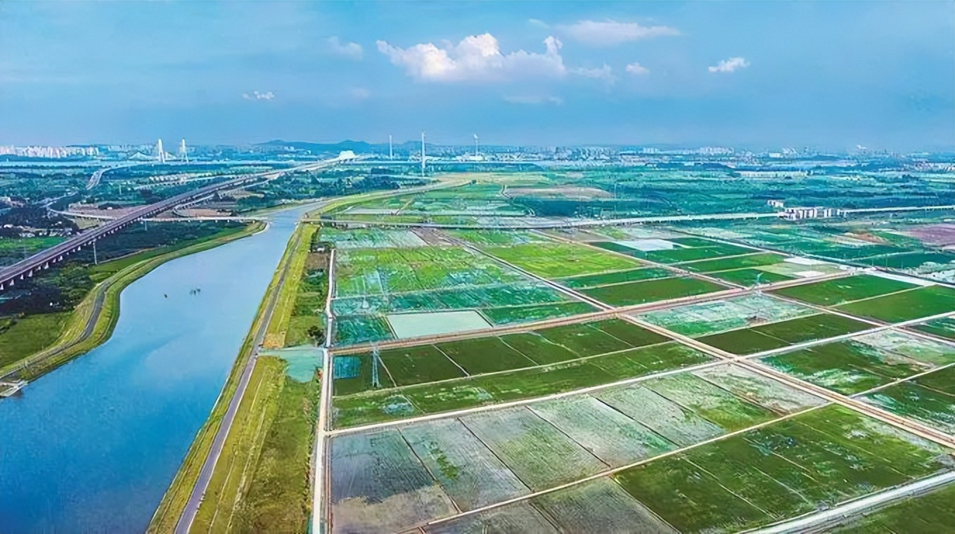 南京农业产业园招商,南京2023年招商引资项目排名