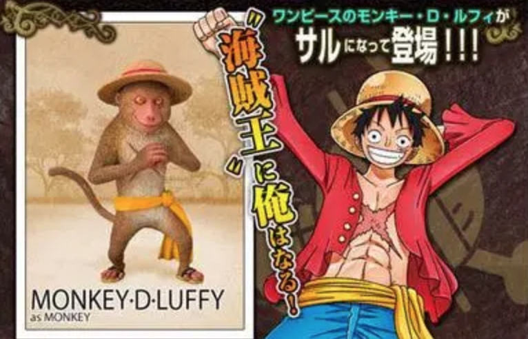 海贼王橡胶果实糯糯果实,海贼王1042话漫画伏笔