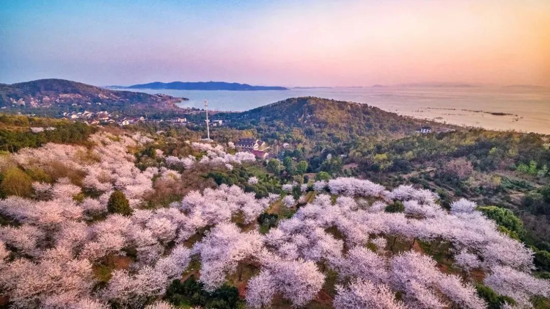 苏州好地方排名,苏州口碑最好的城市