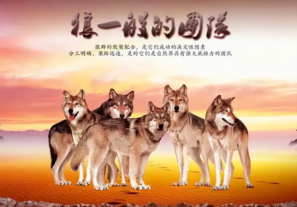 人们常说的三观是什么,我们平常所说的三观是什么呢