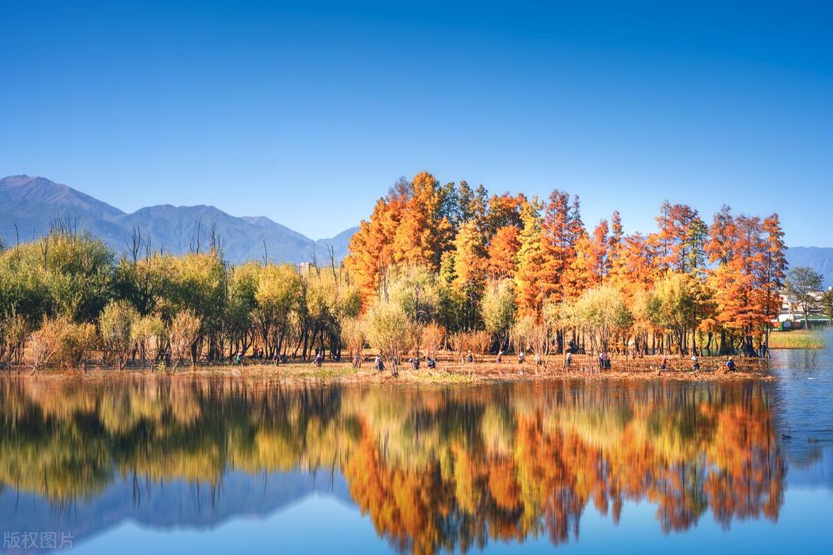 云南之旅体验民族风情,云南旅游体验分享