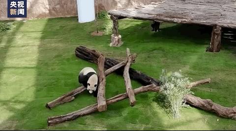 卡塔尔和哪个国家关系好,卡塔尔人是哪个国家的人