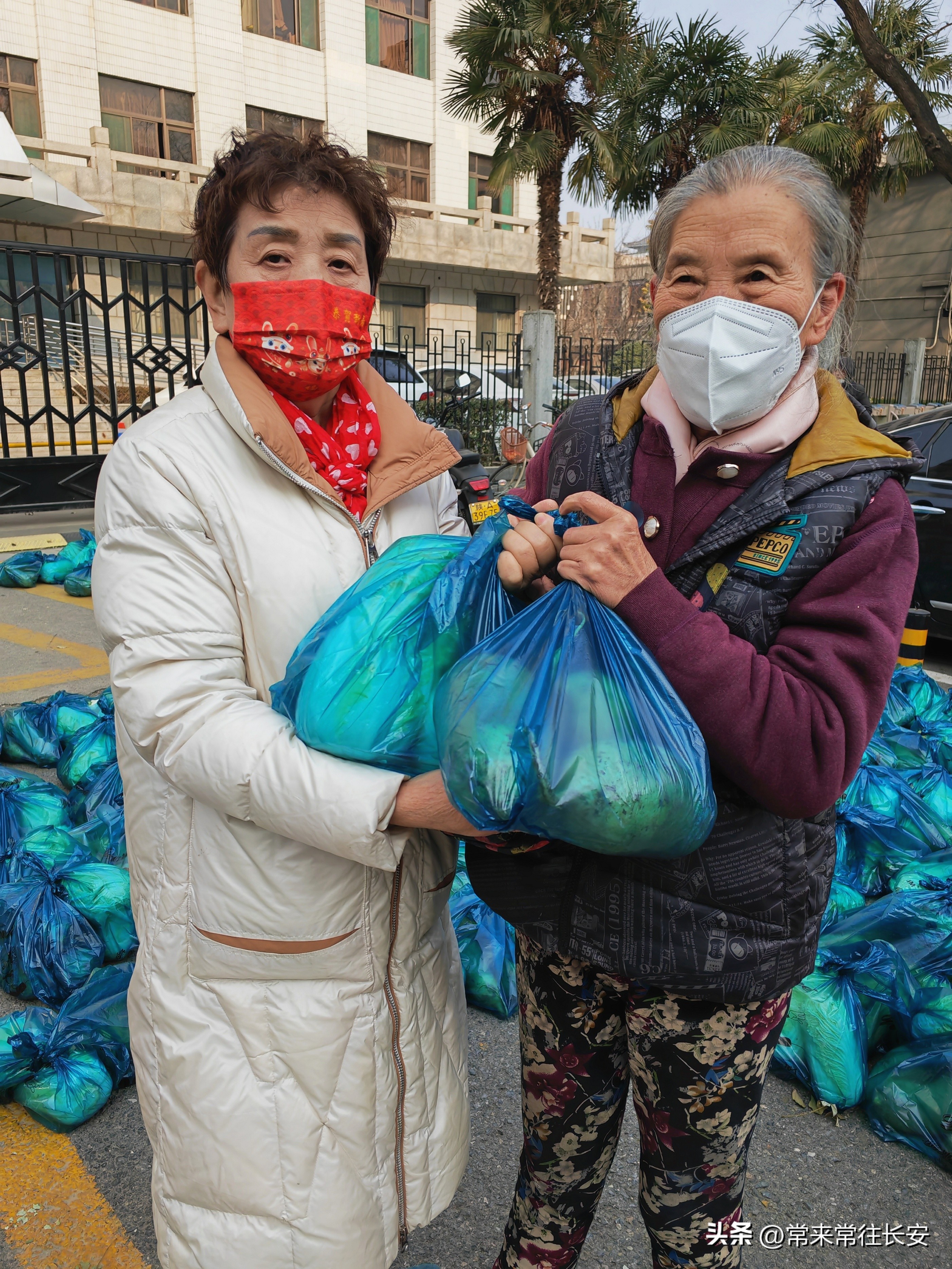 南院门蒲公英志愿者相互关守“白菜萝卜表示我一点心意”西安之声