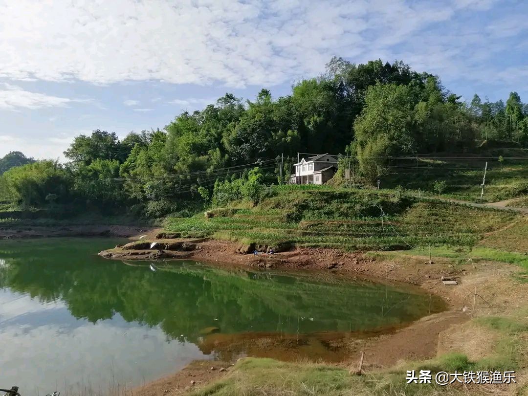 南方的鲤鱼跟北方的鲤鱼有啥区别,北方的鲤鱼和南方的区别