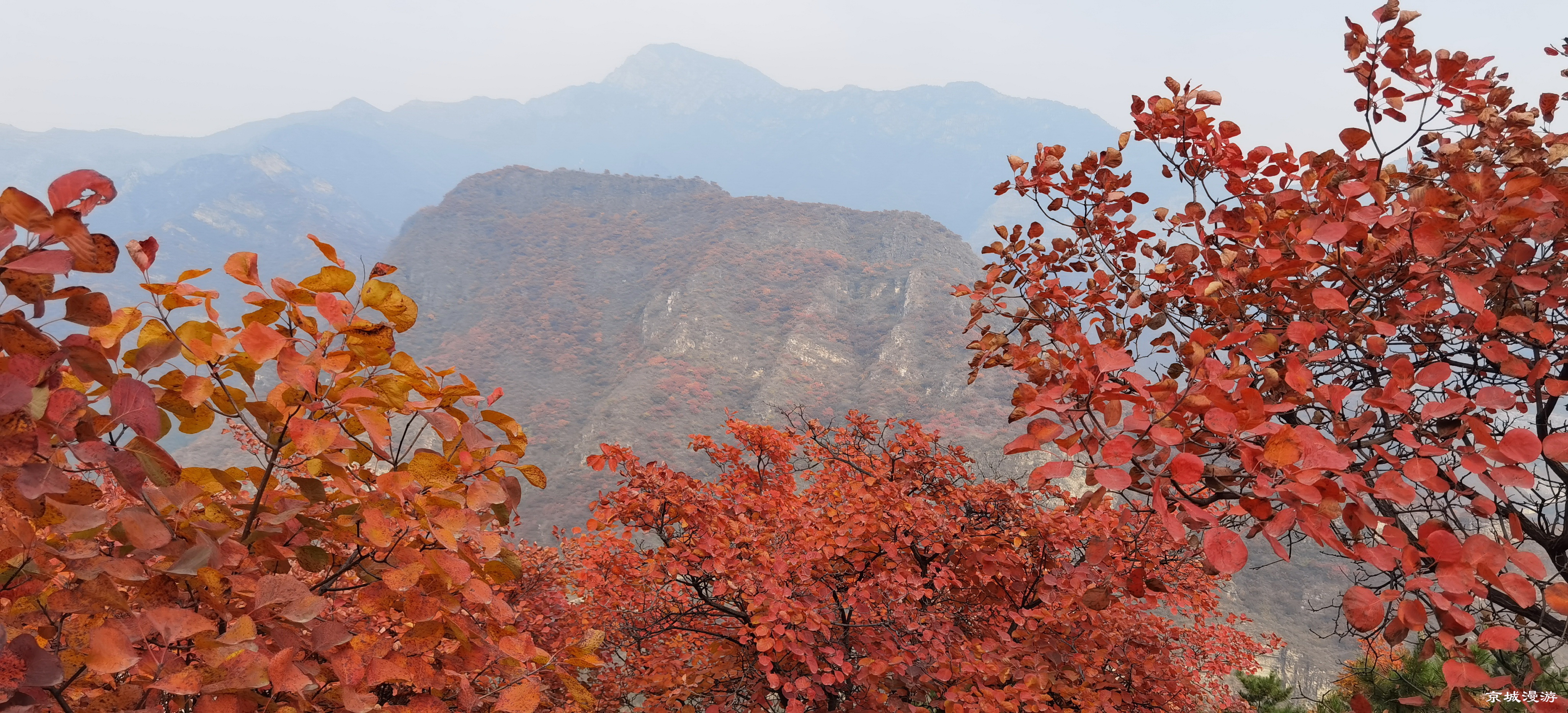药王谷风景区赏花,快趁着秋天来打卡慕田峪看红叶呀