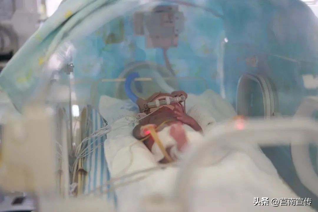 早产儿体重2斤能存活吗,不到两斤的早产儿能存活吗