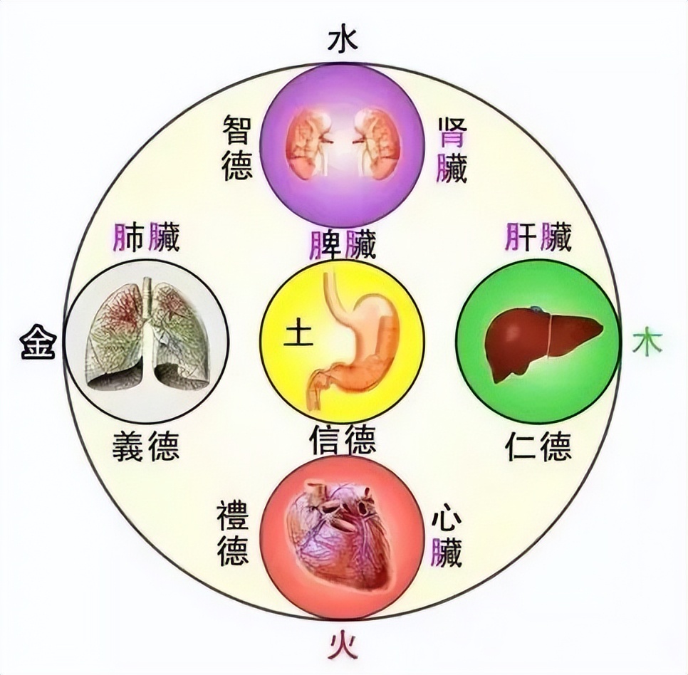 鍎掑淇韩浜斿痉,涓崕浼犵粺浜斿痉淇韩鏂囧寲鍏ㄥ