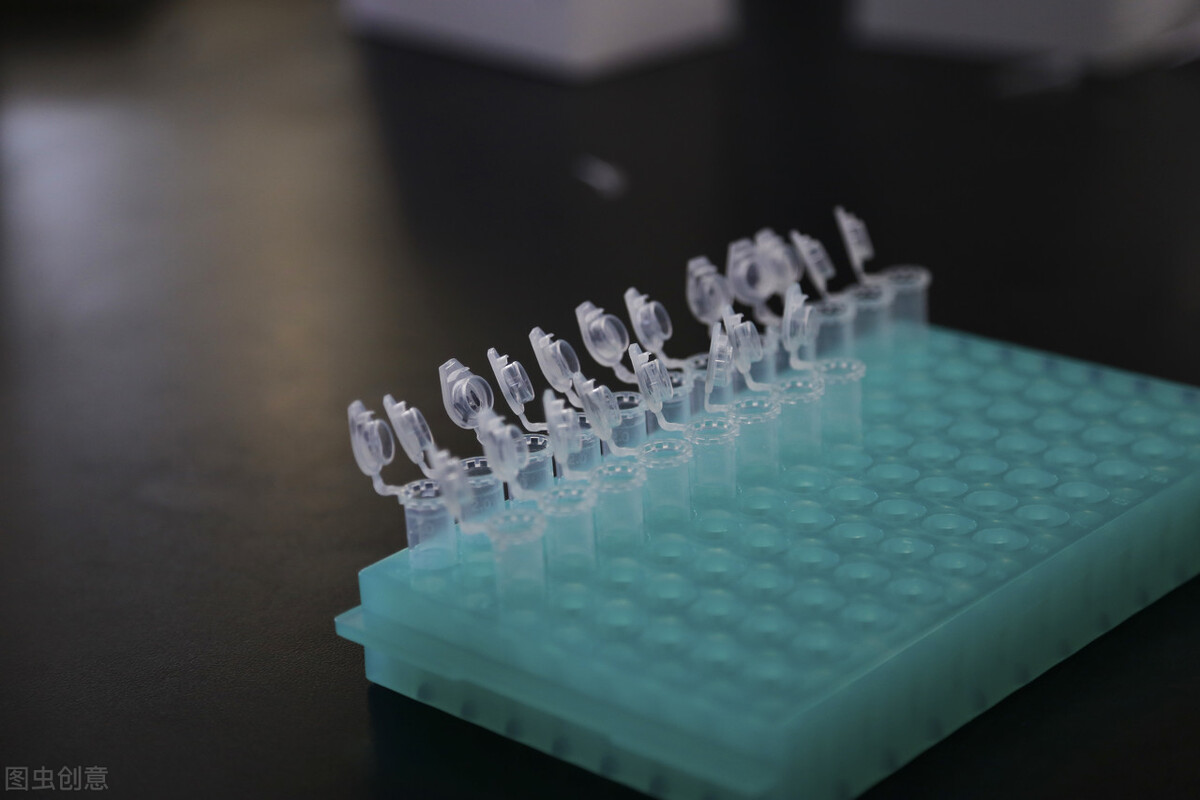 荧光定量pcr厂家,荧光定量pcr乙肝