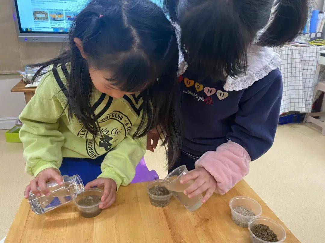 科学探索幼儿园小实验,建德诺亚舟幼儿园