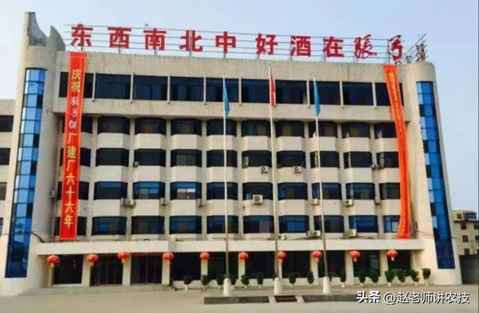 最好喝的纯粮白酒排行榜,口碑最好十款纯粮白酒