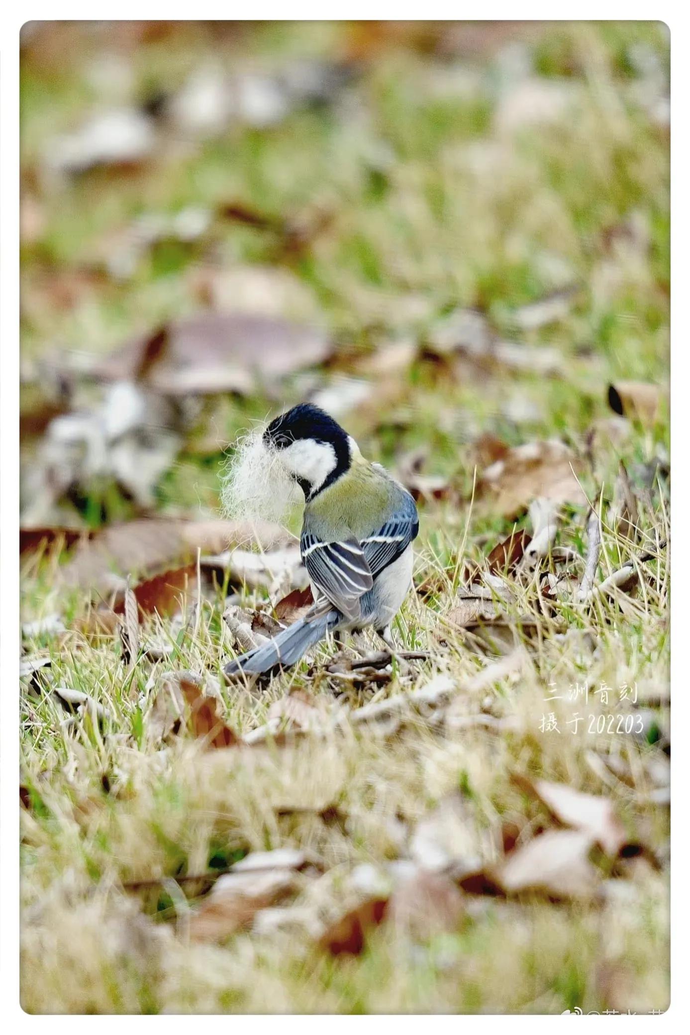 上海国际汽车城安亭,上海安亭国际汽车城