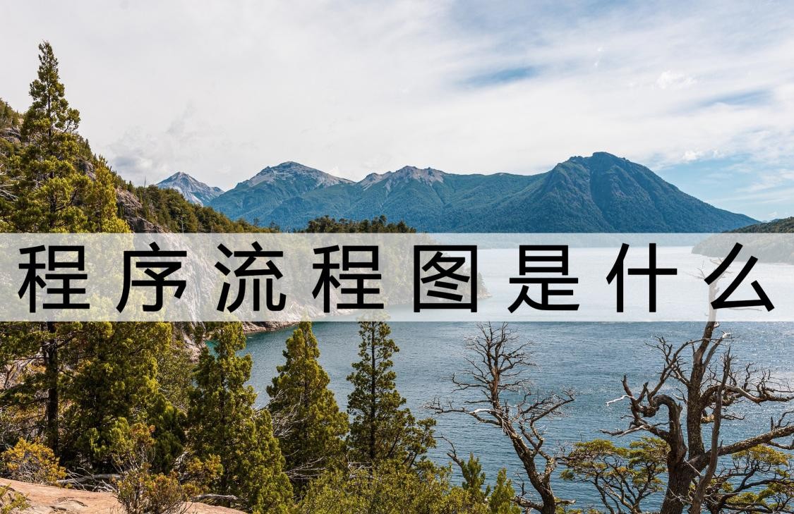 程序开发流程图制作教程,如何讲解程序流程图