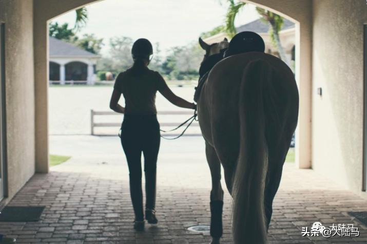 国家体育运动员从几岁开始培养,马术运动员十次参加奥运