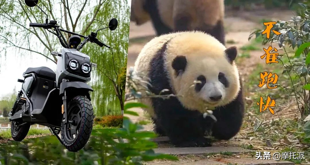 本田zoomere使用,本田zoomere值得购买吗