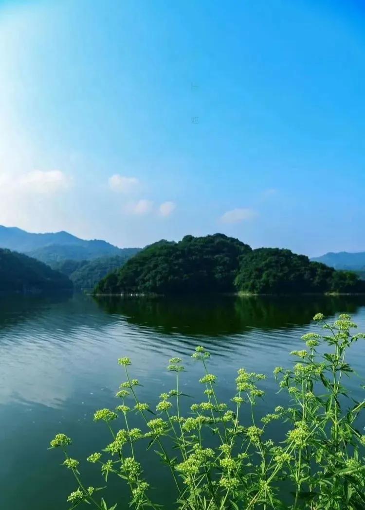 南阳内乡五龙潭,内乡五龙潭要门票吗