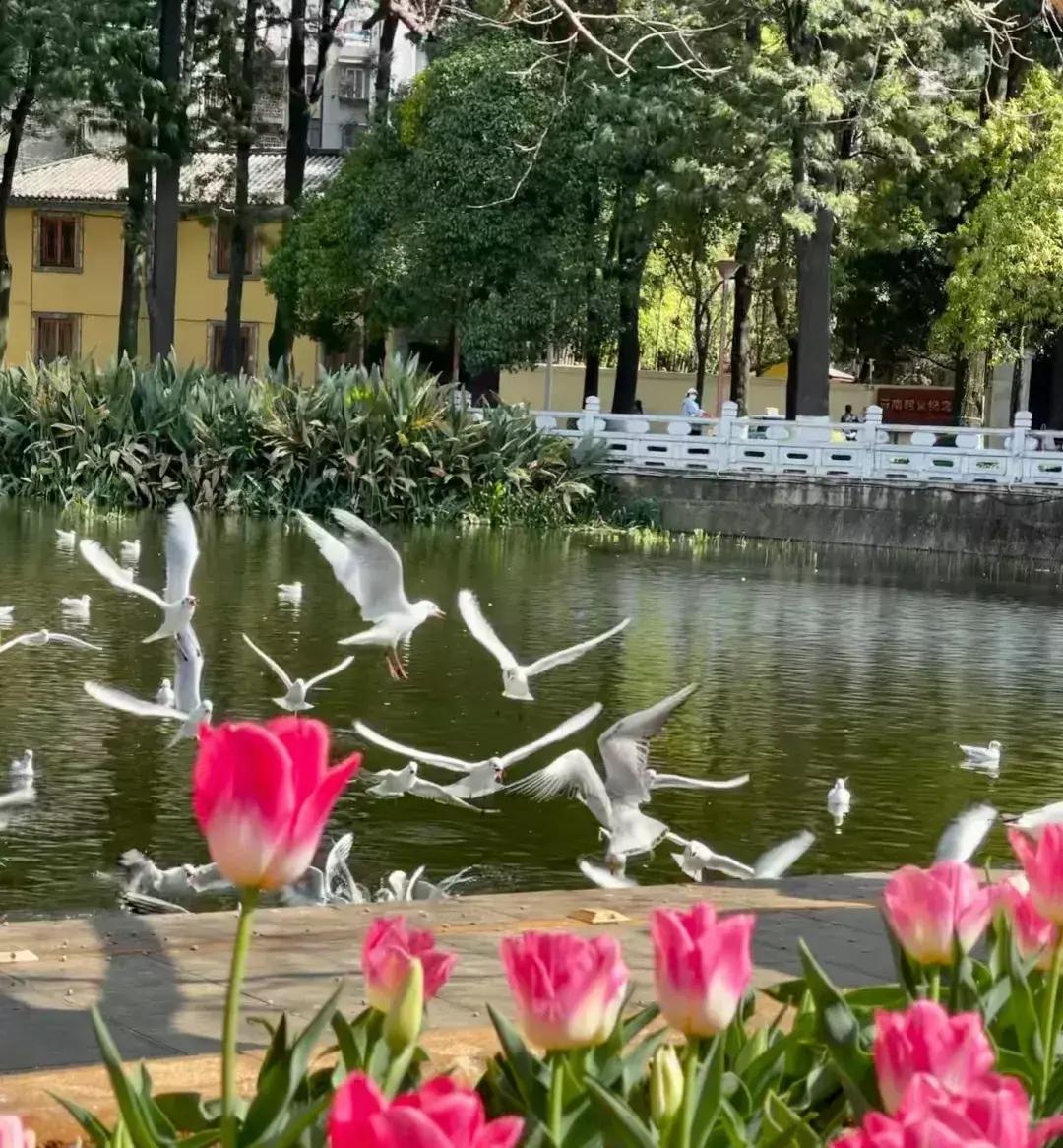 昆明经典人文旅游,带你领略云南古城的魅力