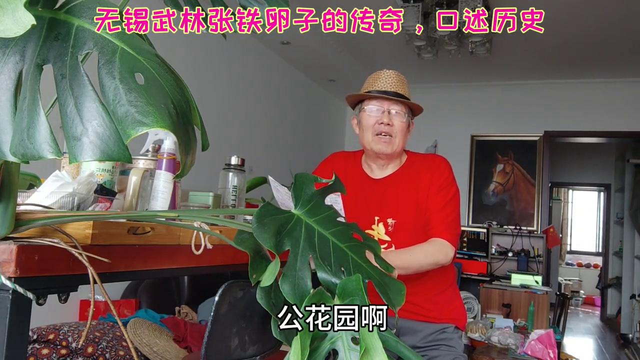 无锡武林张铁卵子的传奇，口述历史#民间绝技高手