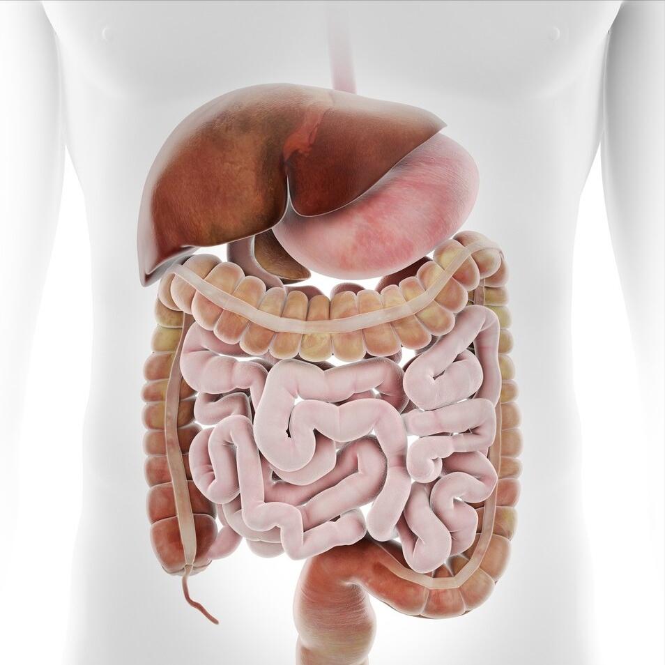 体内火旺喝什么花茶,阴虚火旺喝玫瑰花水