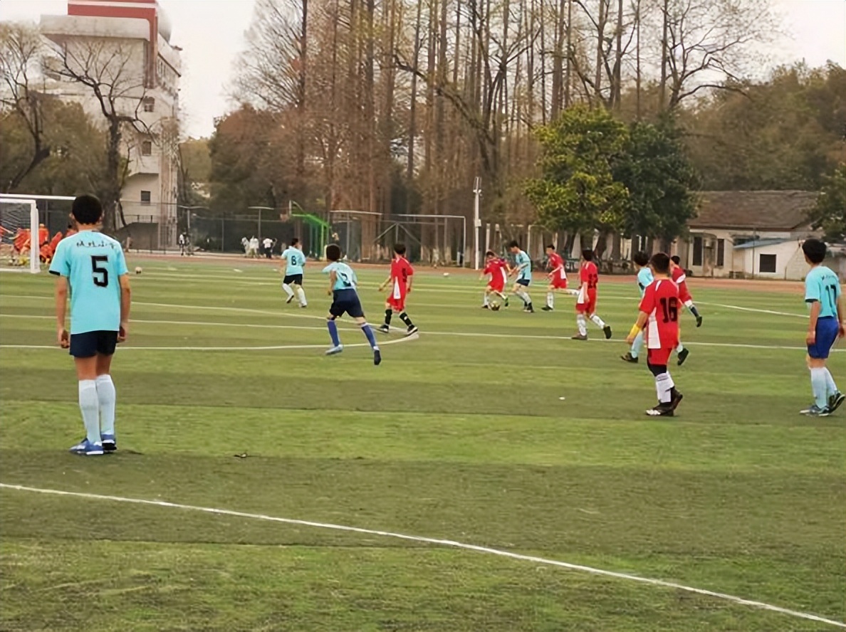 安徽合肥庐江二胎政策,双减政策落地让教育返璞归真