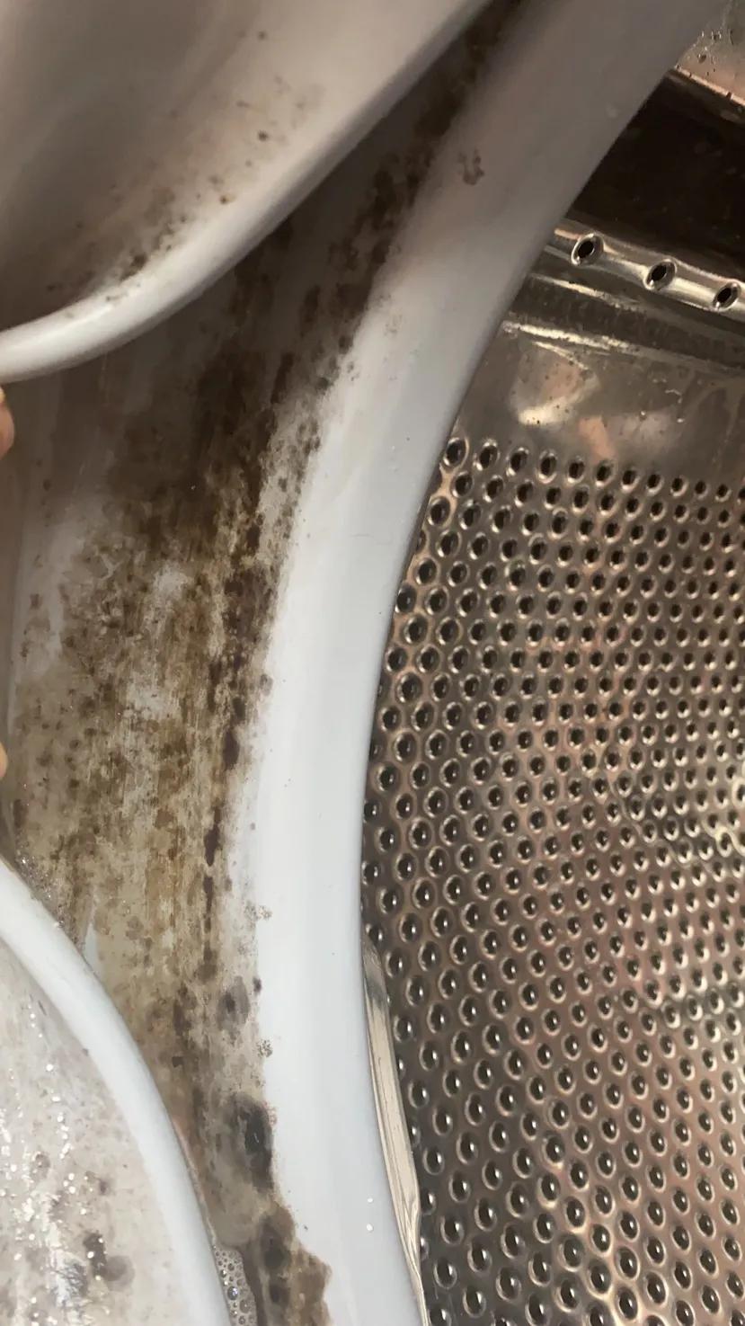 滚筒洗衣机胶圈发霉怎样去除,洗衣机哪个品牌胶圈不会发霉