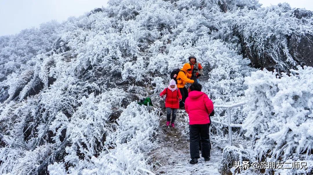 清远金子山旅游攻略看雾凇,广东金子山雪景旅游攻略