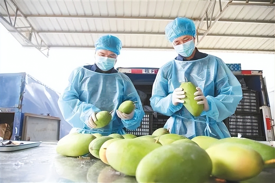 半年纪念册语录,翻开日记本里面都是你的痕迹