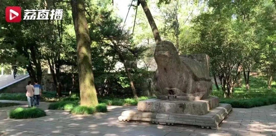 南京灵谷寺历史,南京灵谷寺真实历史