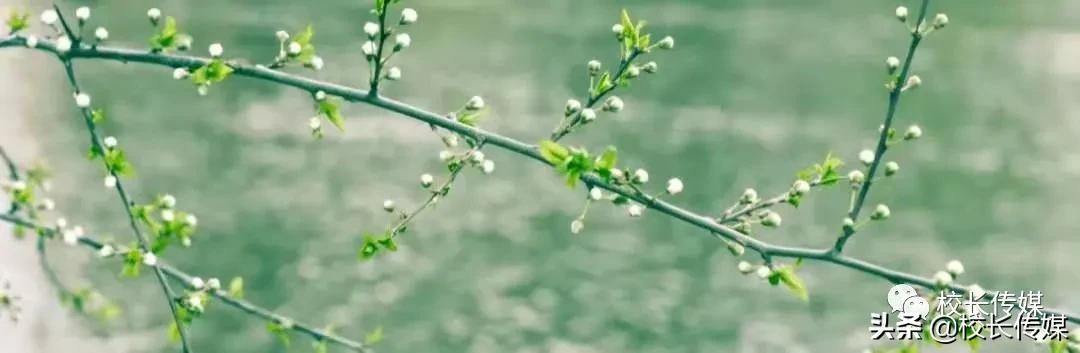 德业并进行稳致远——中层干部培训学习体会