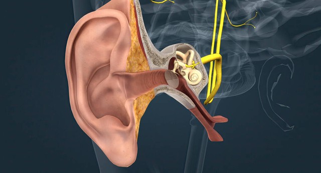 中医专业讲解常见病头痛,头痛疑难杂症案例