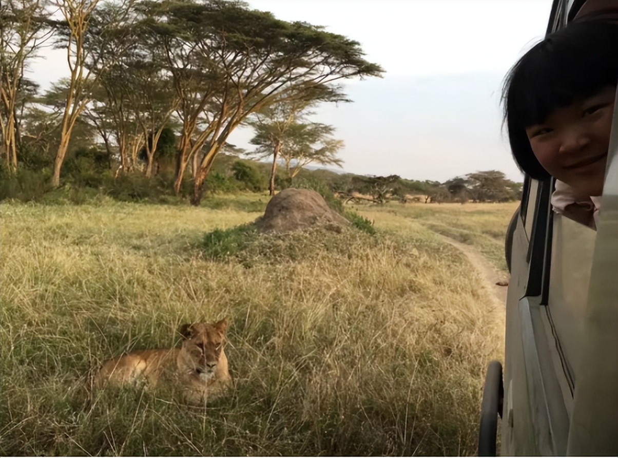 2016年，12岁女孩暑假到非洲保护野生动物，每天听着雄狮低吼入睡