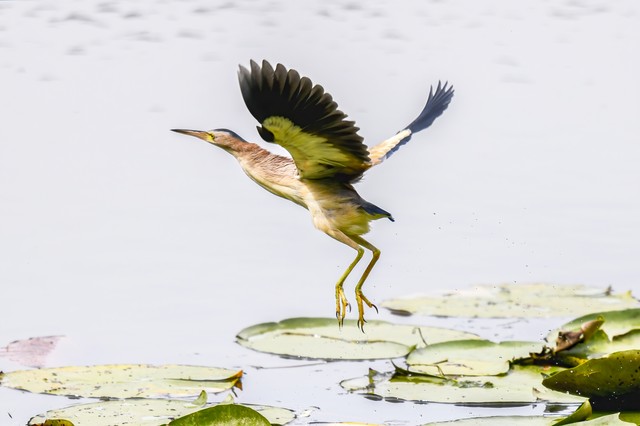 江苏旅游必去十大景点攻略,江苏旅游必去十大景点旅游攻略