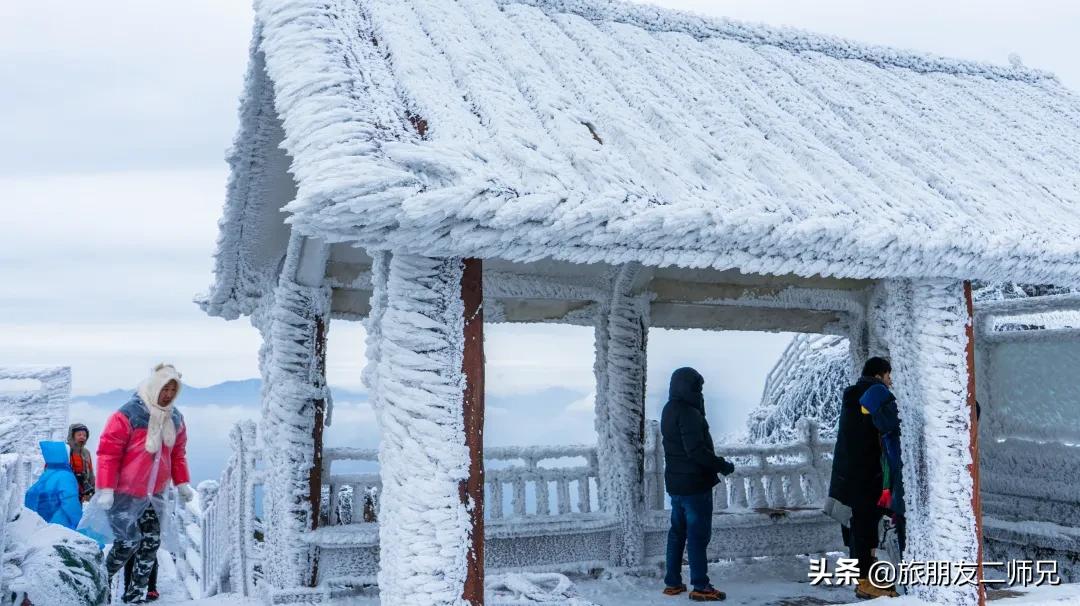 清远金子山旅游攻略看雾凇,广东金子山雪景旅游攻略
