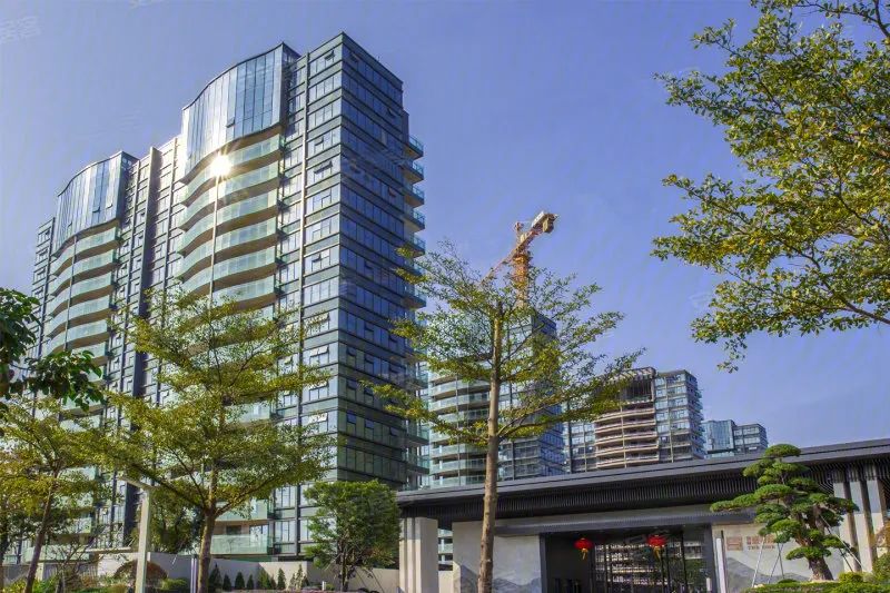 金湾崇峰壹号院最新消息,金湾崇峰壹号院当年的房价