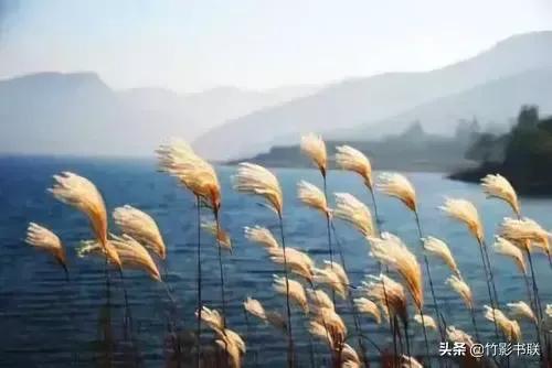 青峰杂谈：人一生的四重自由，世人全得之者有几？