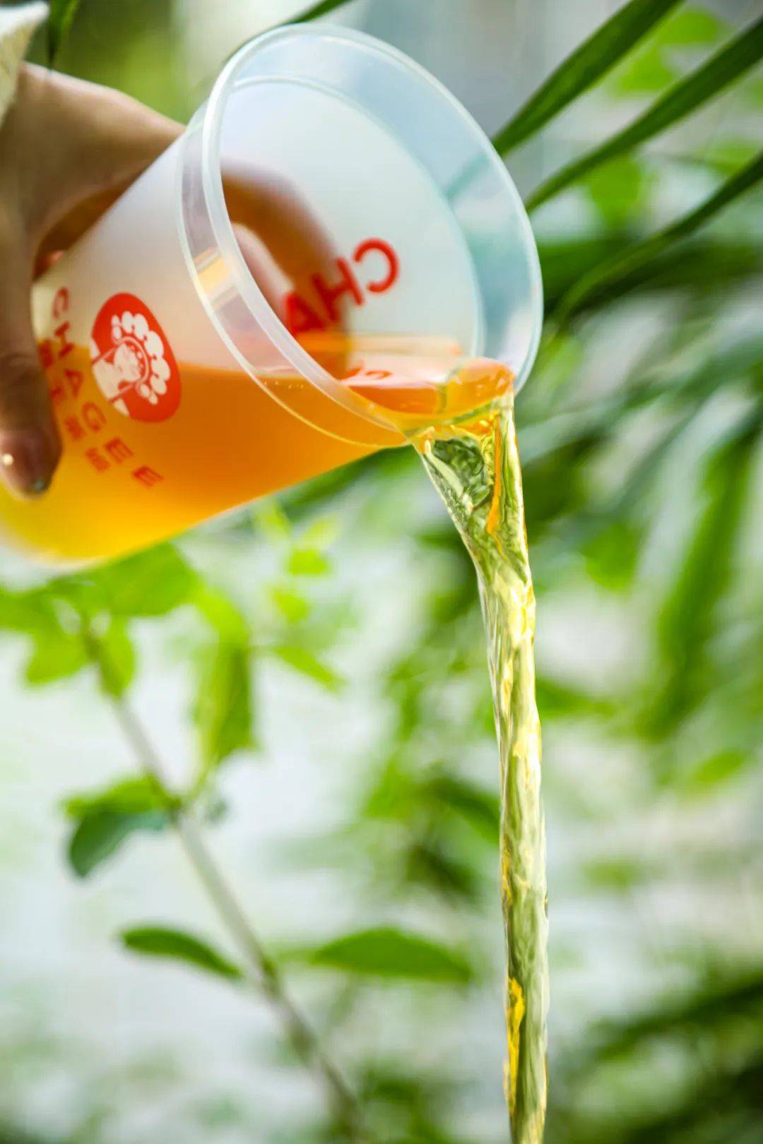 西安新开业的霸王茶姬,开业霸王茶姬活动