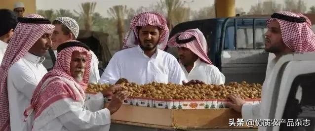 被称为绿色金子的特色蔬菜,被欧洲人称为绿色金子