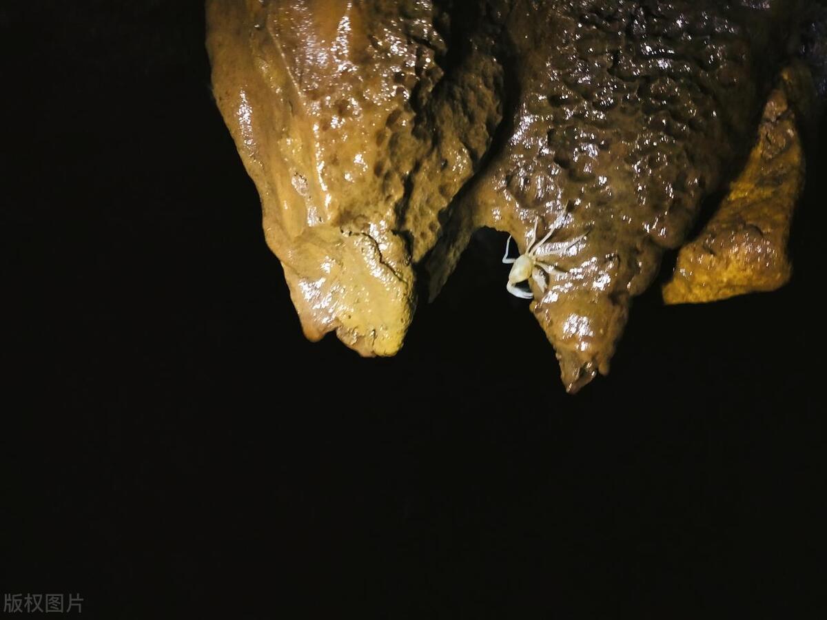 璐靛窞鍊煎緱鍘荤殑椋庢櫙灏忎紬,鏃呰璐靛窞浜斾釜缁濈編绉樺