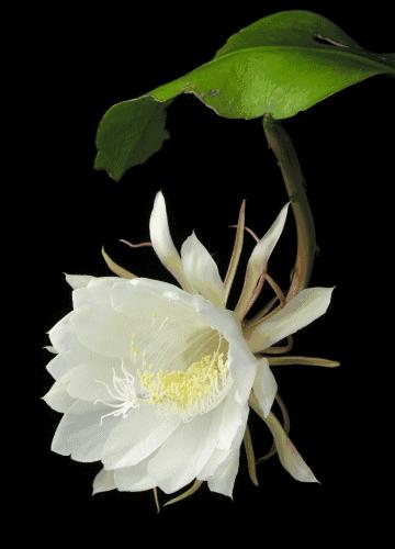 分享交易体系,分享交易信息