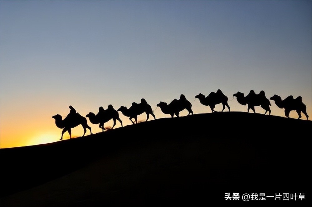 今日八一，以诗为证