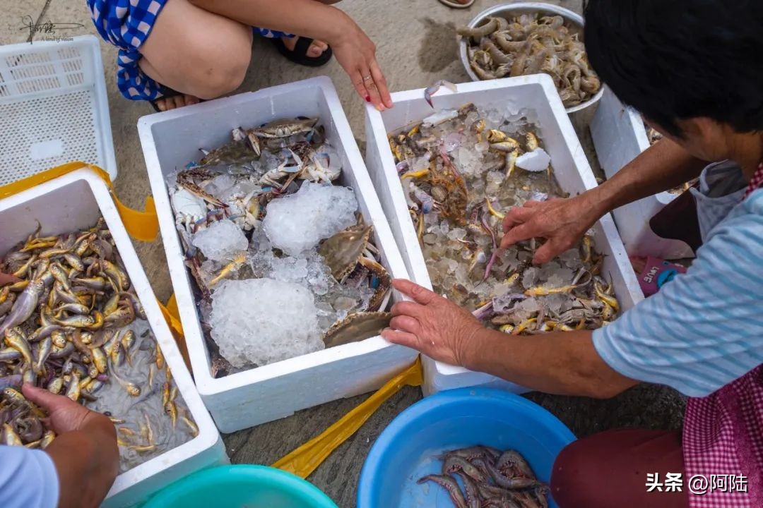 <html>
<head><title>502BadGateway</title></head>
<body>
<center><h1>502BadGateway</h1></center>
<hr><center>nginx</center>
</body>
</html>
<!--apaddingtodisableMSIEandChromefriendlyerrorpage-->
<!--apaddingtodisableMSIEandChromefriendlyerrorpage-->
<!--apaddingtodisableMSIEandChromefriendlyerrorpage-->
<!--apaddingtodisableMSIEandChromefriendlyerrorpage-->
<!--apaddingtodisableMSIEandChromefriendlyerrorpage-->
<!--apaddingtodisableMSIEandChromefriendlyerrorpage-->
