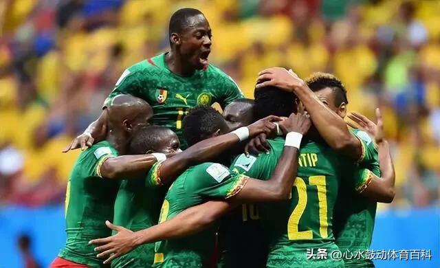 卡塔尔世界杯32强巡礼伊朗,2022年卡塔尔世界杯喀麦隆之旅