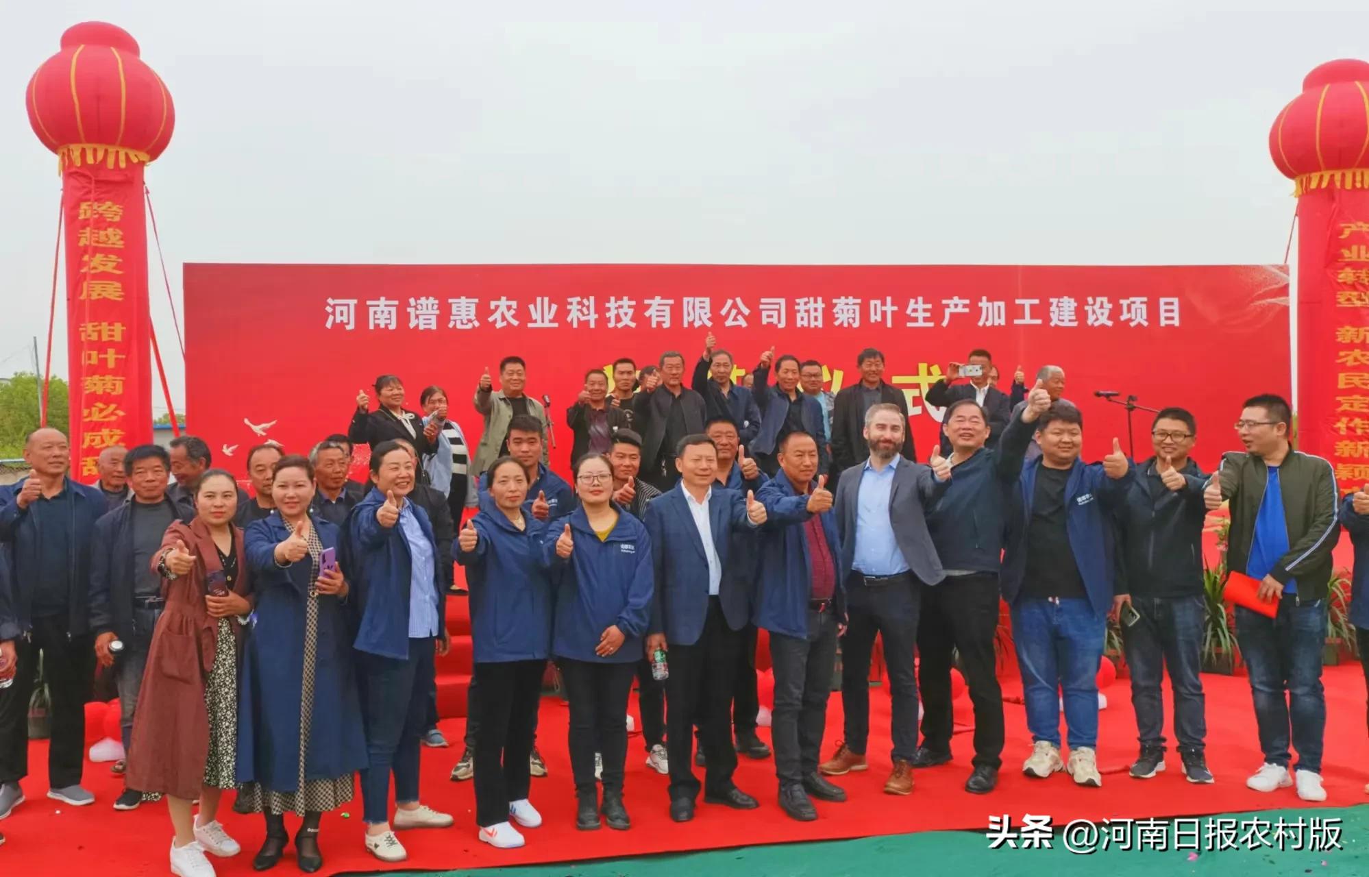 邓州市甜叶菊种植基地,促进产业发展农民增收