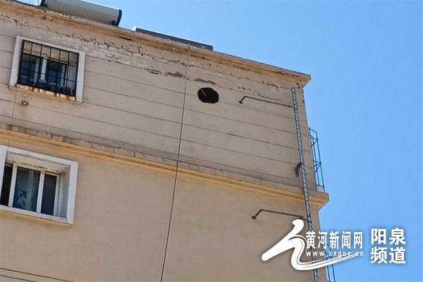 清除“蜂”险为民解忧