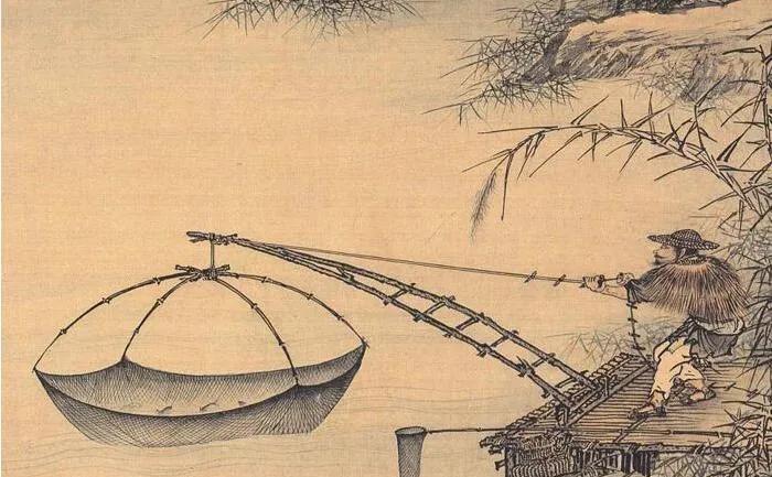 竹子为什么受古代文人喜爱,竹子深受人们的喜爱