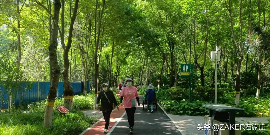 zaker石家庄视频,zaker新闻最新