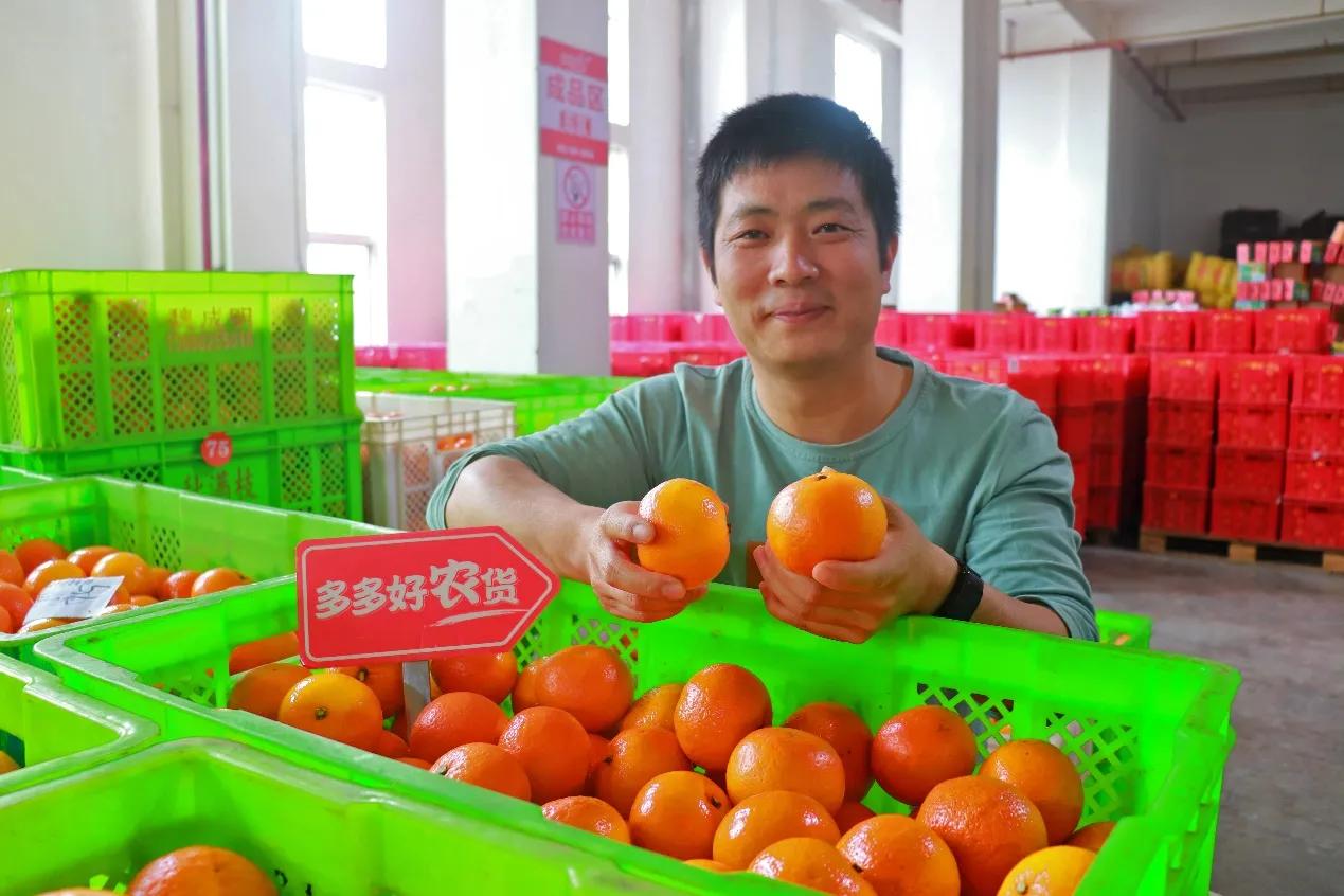 90后新农人逐梦,90后新农人奋斗